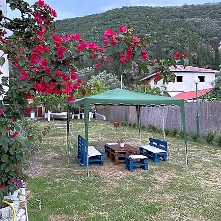 Camelia Hotell Katokhórion