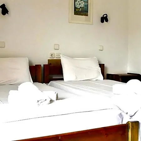 Camelia Hotell 3*